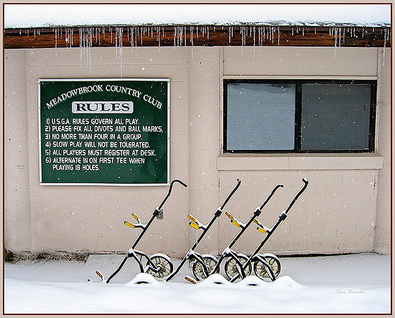 Winter Rules