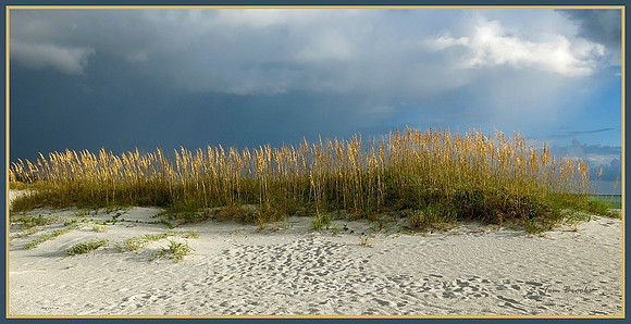 Calm Before the Storm (10x20)