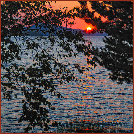 Evening Window (10x10 or 12x12)