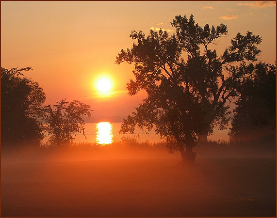 Foggy Sunrise (11x14)