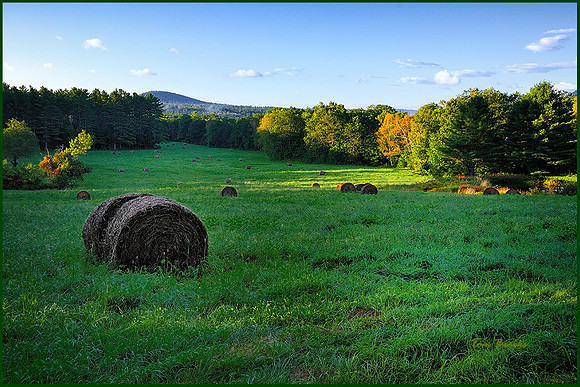 Fall Harvest (8x12 or 12x18)