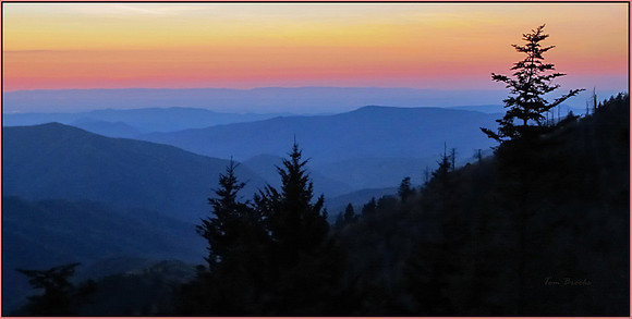 Blue Smokies (10x20)