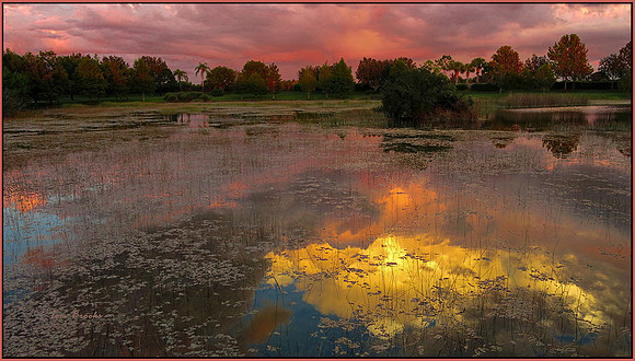 Fishin' Hole Sundown (9x16)